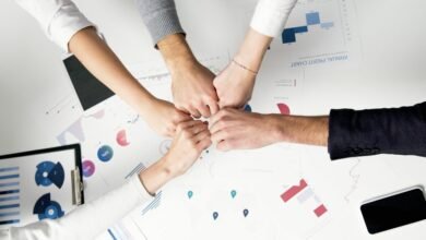 business growth insights report