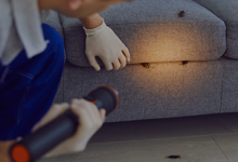 The Impact of Pest Infestations on Workplace Health and Employee Productivity