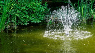 Key Features to Look for in a Submersible Water Pump for Long-Lasting Fountain Performance