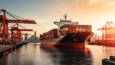 Boat and Cargo Lifts Carolinas: Premier Marine Solutions in Charleston SC