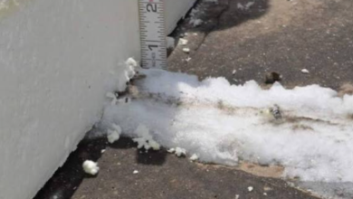Field Notes From Coating a Dallas Cold Storage Roof