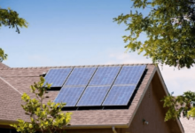 The Fir Trees Decide What a Solar Quote Is Worth