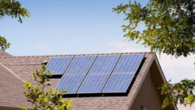 The Fir Trees Decide What a Solar Quote Is Worth