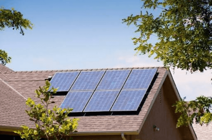 The Fir Trees Decide What a Solar Quote Is Worth