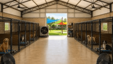 A Backup Window Unit Is Not A Cooling Plan For Thirty Kennels