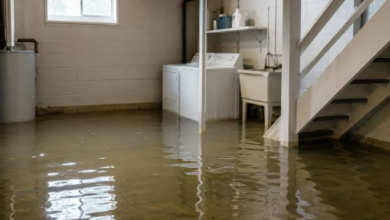 One Downpour Traced A Basement Backup Back To The Lateral